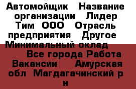 Автомойщик › Название организации ­ Лидер Тим, ООО › Отрасль предприятия ­ Другое › Минимальный оклад ­ 19 000 - Все города Работа » Вакансии   . Амурская обл.,Магдагачинский р-н